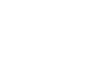 Vetnil