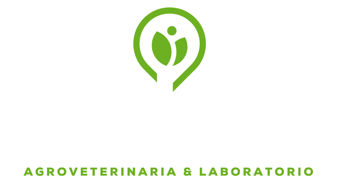 Punto Rural Logo